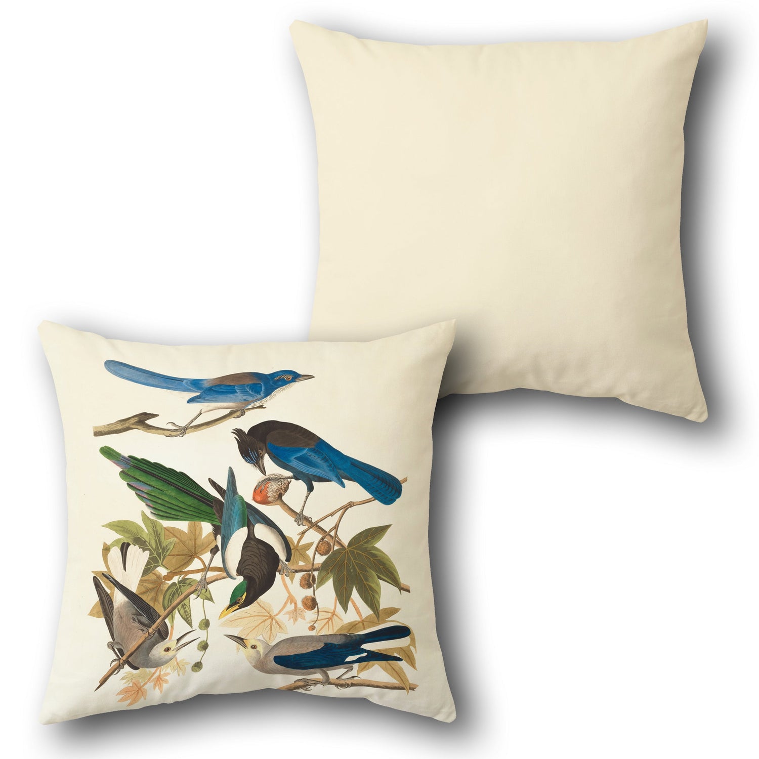 ANIMAL AND BIRDS